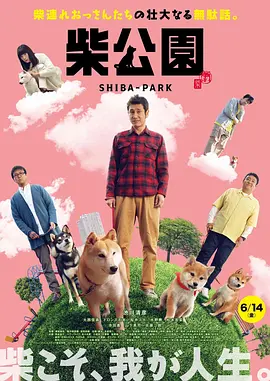 汽车零部件cmds是什么意思